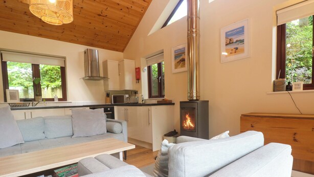 A modern kitchen with a wood-burning stove, a dining area with a sofa and table, and a view of greenery outside. - The Lodge at Lamburn (Truro)