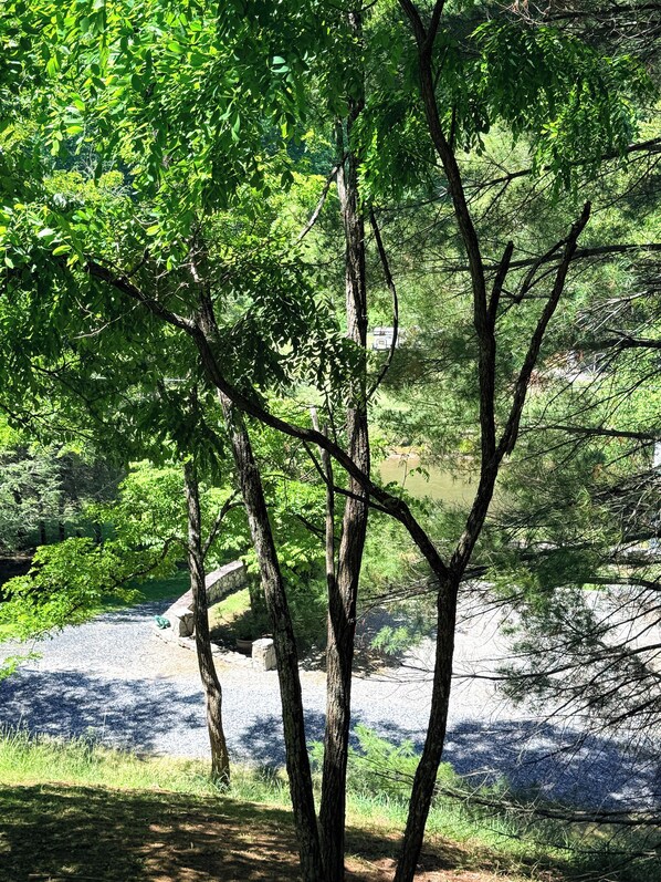 A natural outdoor area with trees and a gravel path. - River Access & Mtn Views | Porch Swing & Fireplace | Near West Jefferson (Lansing)