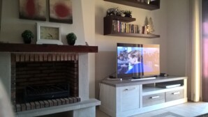 Een woonkamer met een open haard, een flatscreen televisie en een boekenkast.