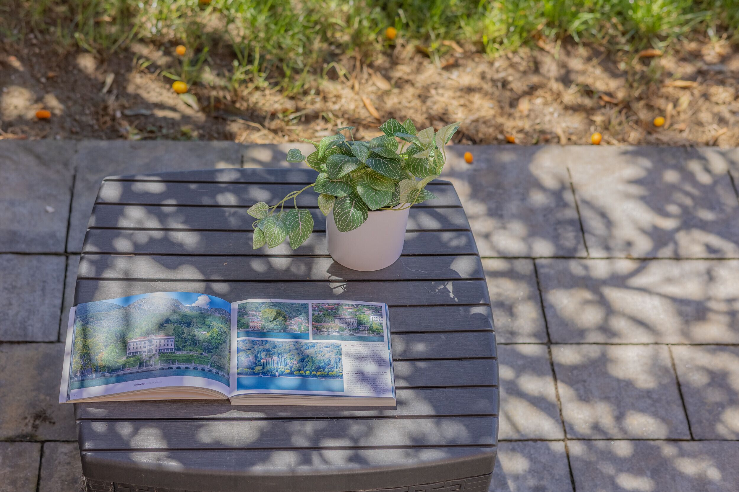 A book with a landscape image on a table.