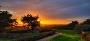 A rural landscape with a path, a small shed, and a large tree. - Villa Côte Sauvage : quiet, swimming pool and sea view (Quiberon)