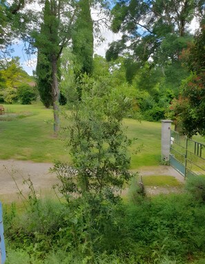 A lush green garden with a pathway, a bench, and a gate.