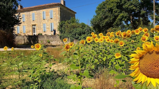 A stone building with a tiled roof, surrounded by a field of sunflowers. - Chambre Lavande aux Quatre Vents with Shared Terrace and Garden (Francescas)