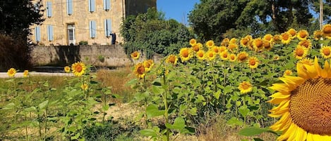 Un bâtiment en pierre doté de nombreuses fenêtres, et une personne se tenant sur le porche.