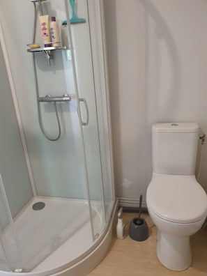 A bathroom with a glass-enclosed shower, a toilet, and a shelf with toiletries. - Bed and Breakfast 'The Four Winds - Les Quatre Vents' with Shared Terrace, Shared Garden and Wi-Fi (Francescas)