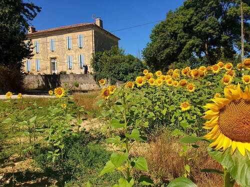 Chambre Jasmin au Bed & Breakfast Les Quatre Vents avec terrasse et jardin partagés