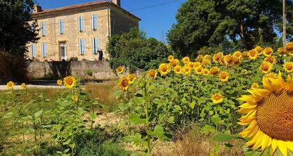Chambre Jasmin au Bed & Breakfast Les Quatre Vents avec terrasse et jardin partagés