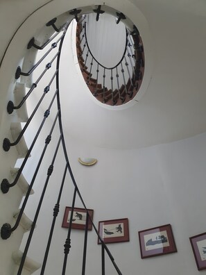 Een spiraaltrap met een witte muur en ingelijste foto's.