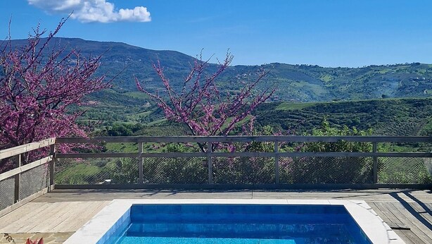A swimming pool with a view of green hills and mountains in the background. - Domus Mare Cilento - B&B with pool, sea view and breakfast included (Campania)