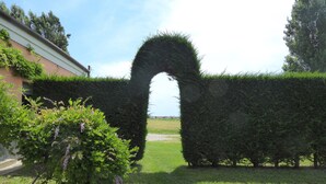 A hedge archway leading to a building with a visible door and a clear sky. - Ca rustica in Chioggia (Chioggia)