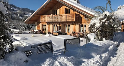 Appartement en chalet, proche de Chamonix et de Megève, spa de nage et sauna