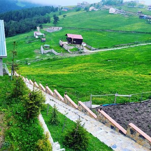 Paisaje rural con una escalera de piedra que desciende hacia un campo, rodeado de vegetación y algunos edificios.