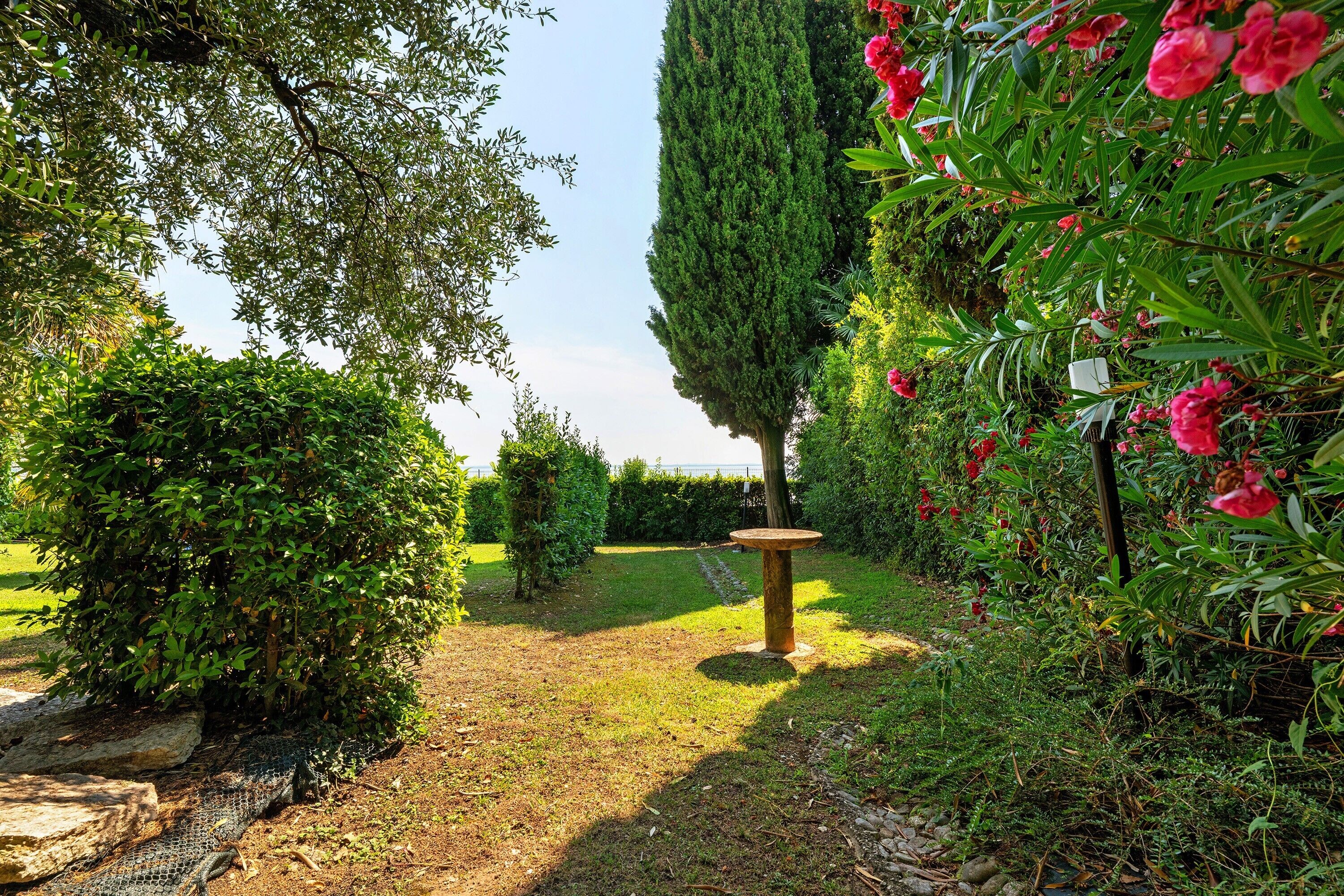 Ein Gartenpfad mit einem hohen Baum, einem kleinen Tisch und üppigem Grün.