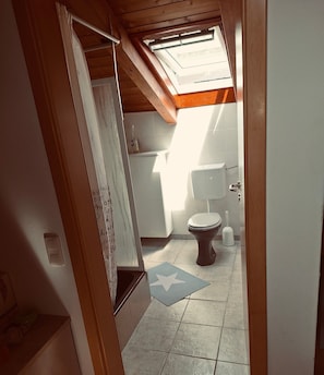 A bathroom with a toilet, a bidet, and a shower area.