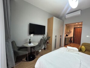 Habitación de hotel con cama, televisor, una mesita con una planta, una silla y una kitchenette al fondo.