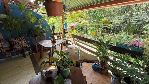 Un patio techado con mesas de madera, plantas en macetas y un farol colgante.