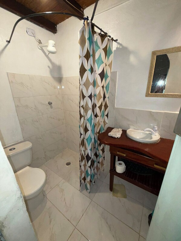 A bathroom with a shower, toilet, sink, and a mirror on the wall.