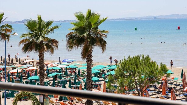 Een strand met palmbomen, parasols en ligbedden.