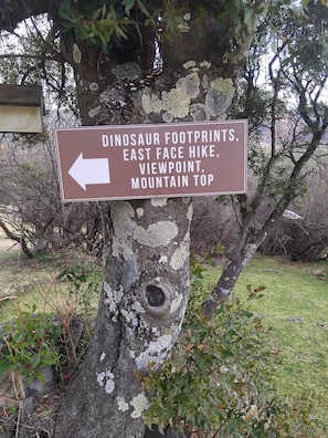Un panneau indicateur fixé sur le tronc d’un arbre.