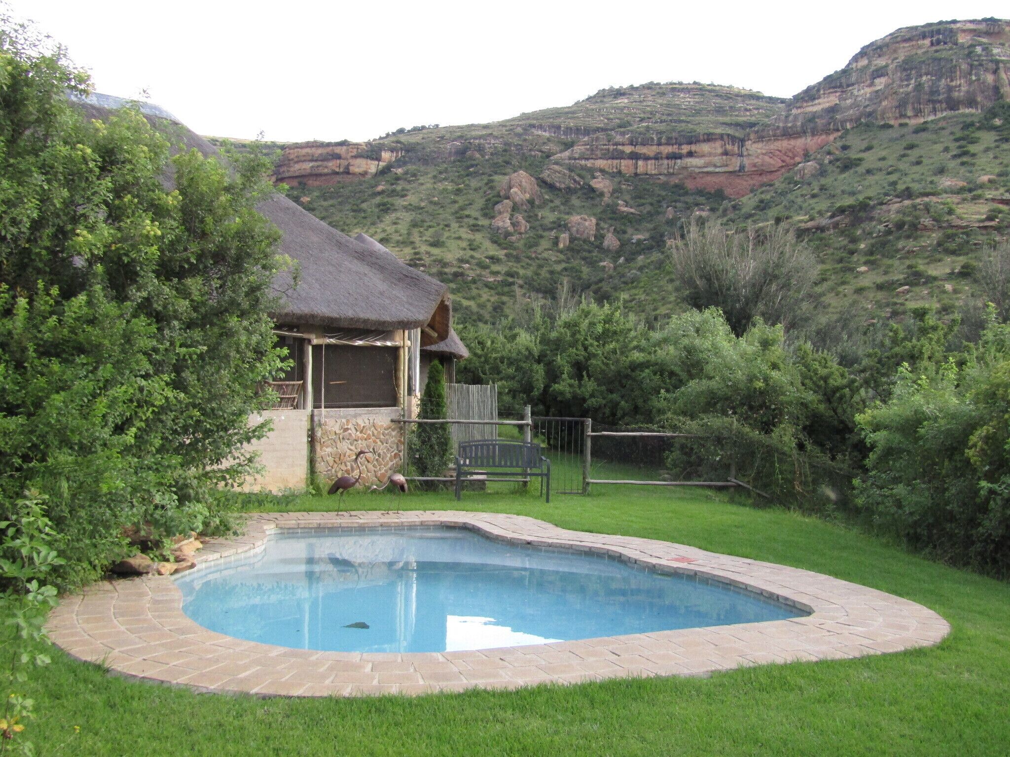 Piscina externa