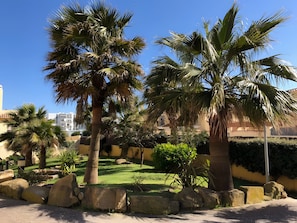 A landscaped area with palm trees, a grassy lawn, and a paved walkway. - Apartamento 'Con Terraza' con Piscina Compartida, Wi-Fi y Aire Acondicionado (Tarifa)