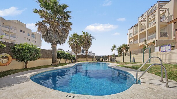 Una piscina con superficie de agua azul cristalina, rodeada de palmeras y una terraza de concreto.