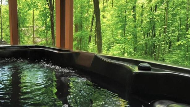 Un jacuzzi con vista al bosque.