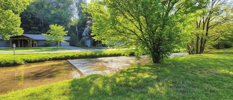 A residential area with a grassy lawn, a small water feature, and a building with a covered porch.