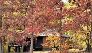Eine Holzhütte, umgeben von Bäumen mit Herbstlaub.
