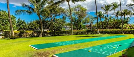 Un espacio al aire libre soleado con dos canchas de juego de hojalata, rodeado de palmeras y un cielo azul despejado.