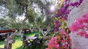 Een terras met tafels en stoelen, omgeven door groen en bloeiende planten.