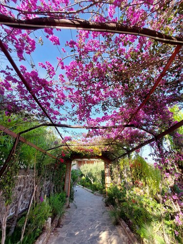 Nature & Comfort • Large Garden • Beach Access