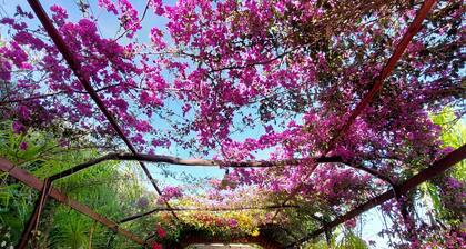 Nature & Comfort • Large Garden • Beach Access