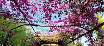 Nature & Comfort âą Large Garden âą Beach Access