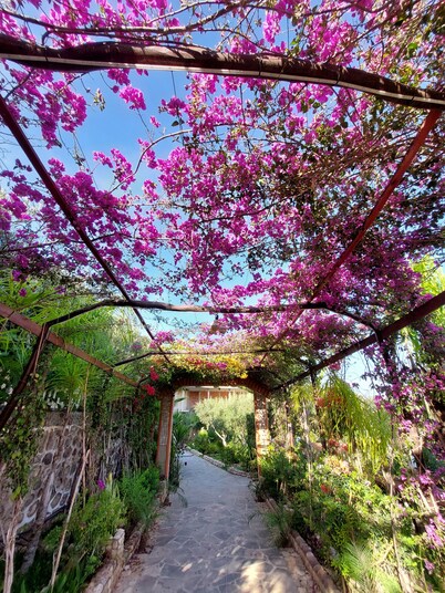 Nature & Comfort • Large Garden • Beach Access