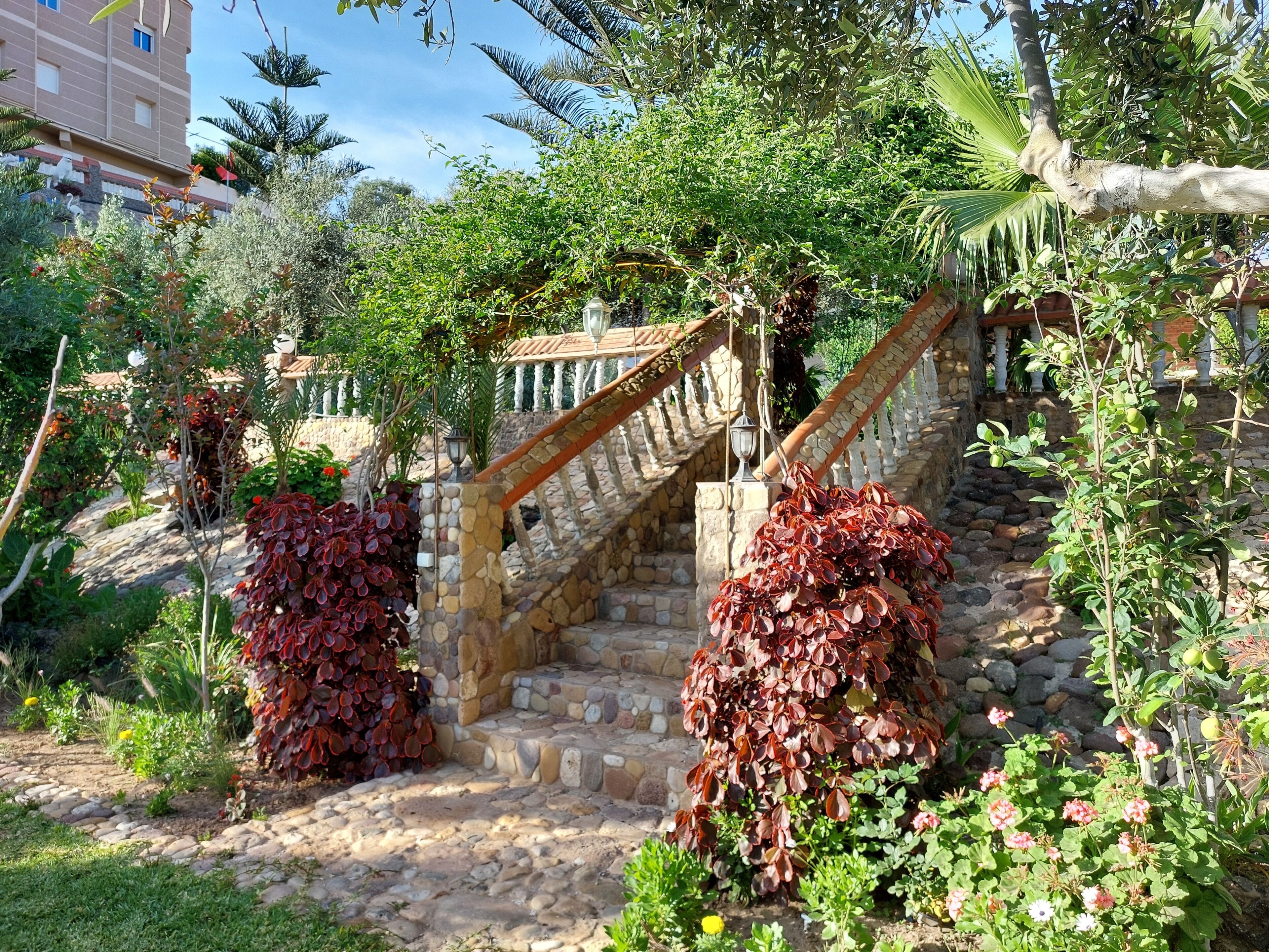 Un escalier en pierre avec une rampe en bois, entouré d’une végétation luxuriante et de plantes en fleurs.