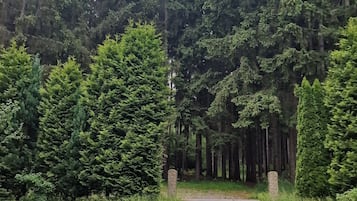 Overnatningsstedets område