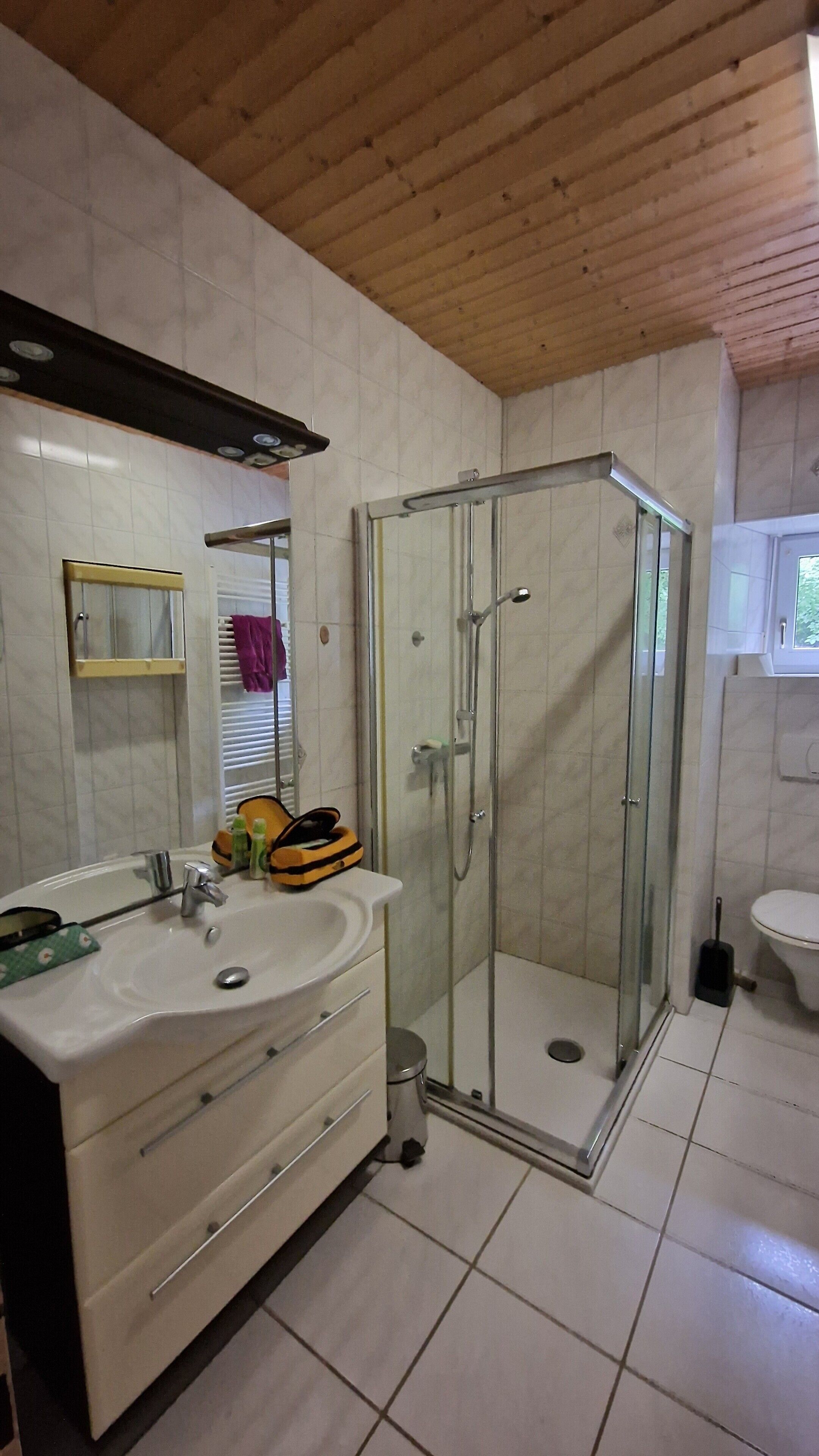 Shower, hair dryer, towels