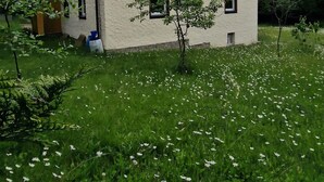 Un edificio de dos pisos con fachada blanca y techo oscuro, rodeado por un campo cubierto de césped y flores blancas.