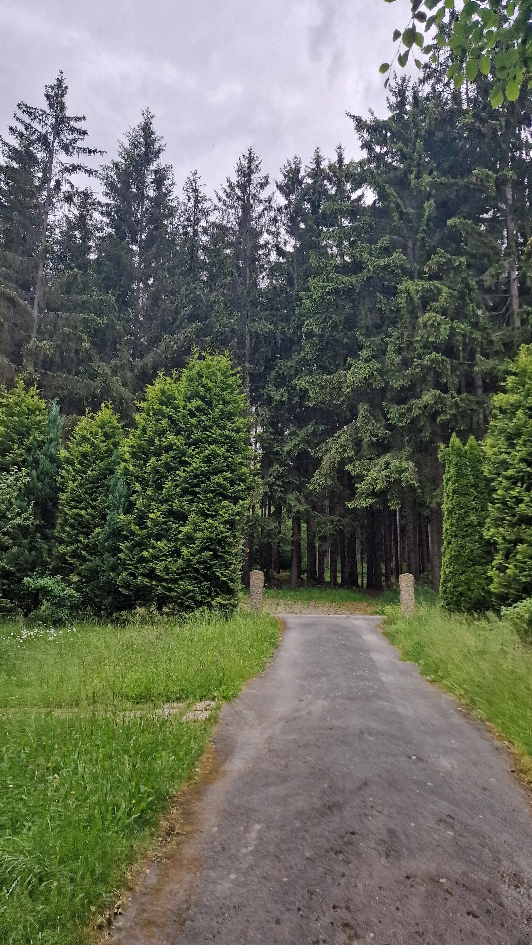 Overnatningsstedets område