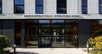 Adonis Dijon Double Apartment