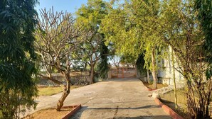 Une allée pavée mène à une entrée fermée par un portail, le tout étant entouré d’arbres et avec un bâtiment visible au loin.