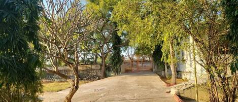 A paved driveway leading to a gated entrance, surrounded by trees and a building in the background.