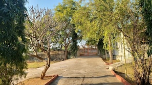 A paved driveway leading to a gated entrance, surrounded by trees and a building in the background.