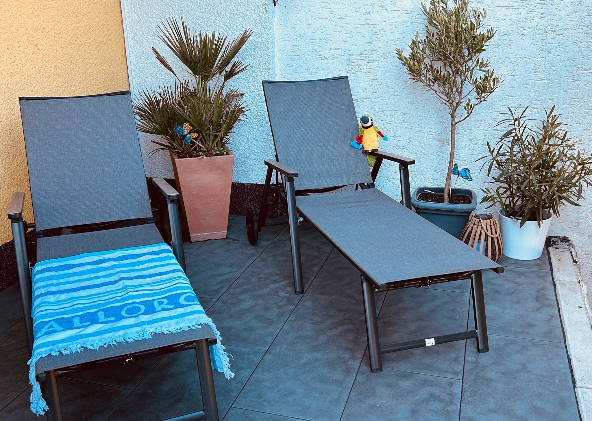 Une terrasse extérieure avec deux chaises, une table et des plantes en pot.