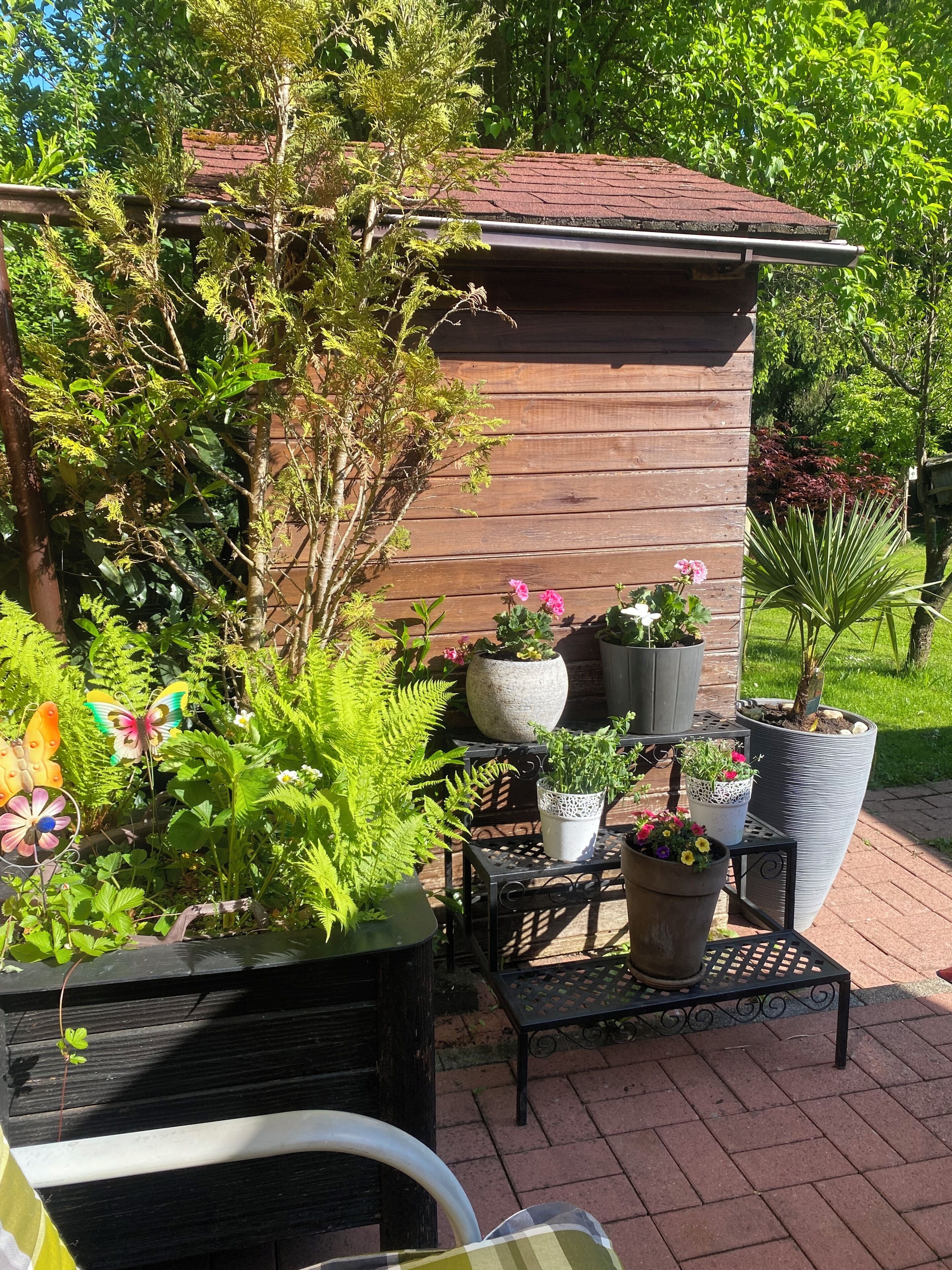 A garden with potted plants, a wooden structure, and a brick pathway.