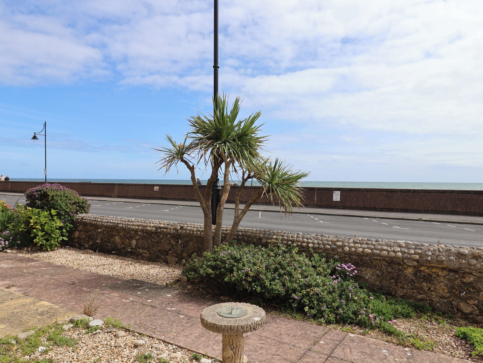 A coastal road with a palm tree, a stone wall, and a clear view of the sea.