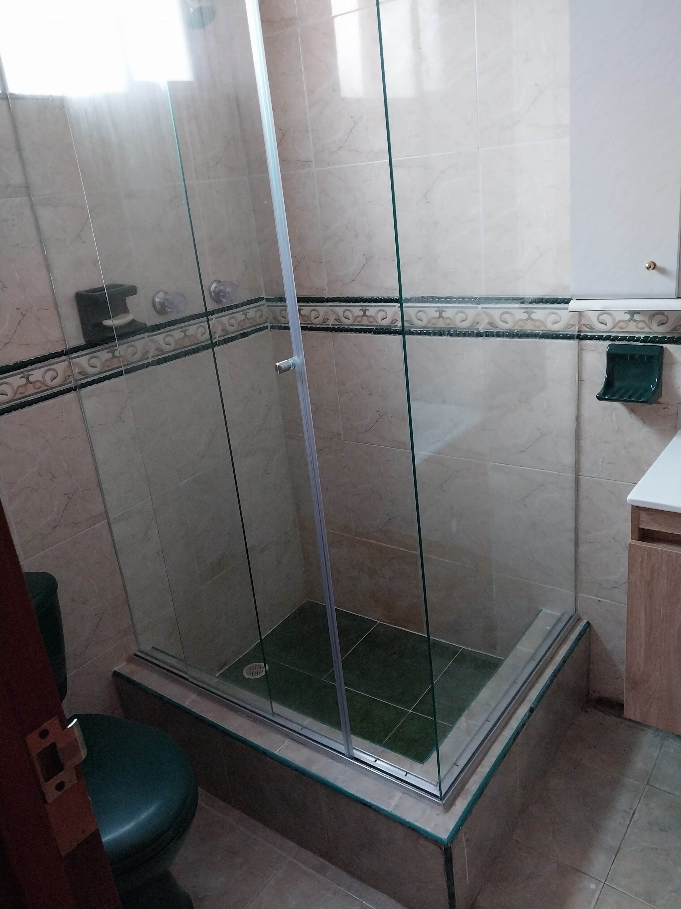 A bathroom with a glass-enclosed shower, a toilet, and a sink with a green soap dish.
