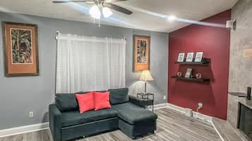 TV, fireplace