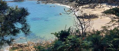 Plage